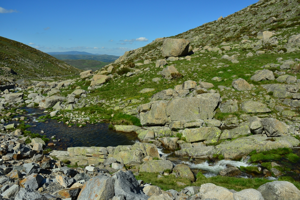 2018-La Plataforma de Gredos 1/3 | Bio-Scène.org