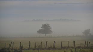 Narse de Lascols - Cussac - (15-Cantal, Auvergne-Rhône-Alpes / France). PNR-Volcans d'Auvergne