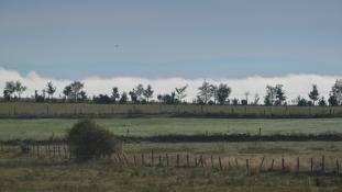 Narse de Lascols - Cussac - (15-Cantal, Auvergne-Rhône-Alpes / France). PNR-Volcans d'Auvergne