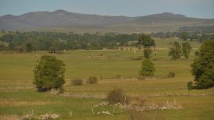 Narse de Lascols - Cussac - (15-Cantal, Auvergne-Rhône-Alpes / France). PNR-Volcans d'Auvergne