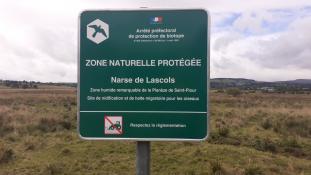 Narse de Lascols - Cussac - (15-Cantal, Auvergne-Rhône-Alpes / France). PNR-Volcans d'Auvergne