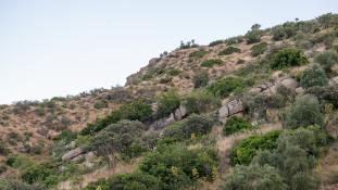Vue-Andalousie
