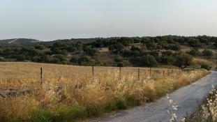 Vue-Andalousie-Panorama