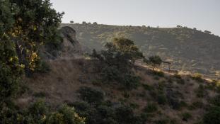 Vue-Andalousie
