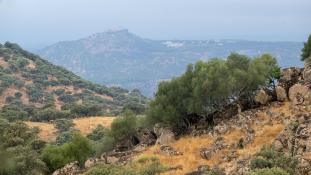 Vue-Andalousie