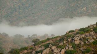 Vue-Andalousie