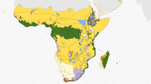 "Afrotropical biomes" by Terpsichores - Own work. Licensed under CC BY-SA 3.0 via Wikimedia Commons - https://commons.wikimedia.org/wiki/File:Afrotropical_biomes.svg#/media/File:Afrotropical_biomes.svg