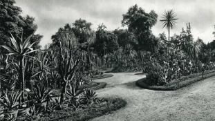 Histoire du jardin mexicain