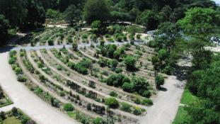 Histoire de l'école de botanique