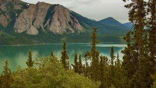 « Yukon River 2 » par Dave Bezaire & Susi Havens-Bezaire — Yukon River 2. Sous licence CC BY-SA 2.0 via Wikimedia Commons - https://commons.wikimedia.org/wiki/File:Yukon_River_2.jpg#/media/File:Yukon_River_2.jpg