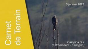 Carnet de Terrain-250103