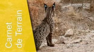 CT-Sélection-251009