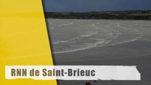 Réserve de Saint-Brieuc