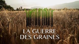 La Guerres des Graines