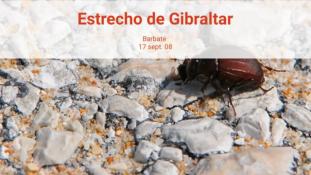 2008-Estrecho de Gibraltar-14/20