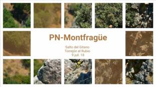 2018-Parc de Montfrague-37/53