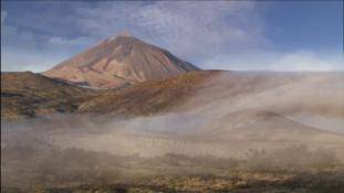 Canarias reductos de biodiversidad