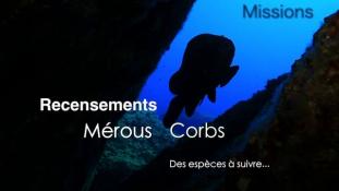 Des espèces à suivre