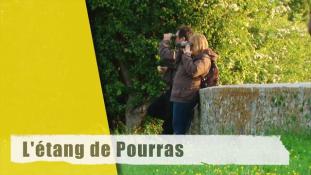 L'étang de Pourras