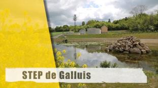 Step-Galluis