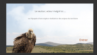 Visuel de la page d'accueil du webdoc "Logiques d'acteurs: le vautour acteur malgré lui"