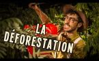 La déforestation