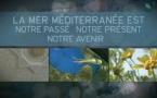 Les Aires Marines Protégées en Méditerranée