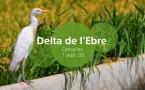 2008-Delta de l'Ebre-5/20