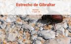 2008-Estrecho de Gibraltar-14/20