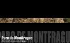 Teaser-Montfragüe