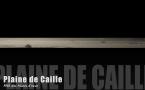 Teaser-Caille-Hivers