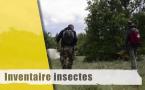 Inventaire Insectes